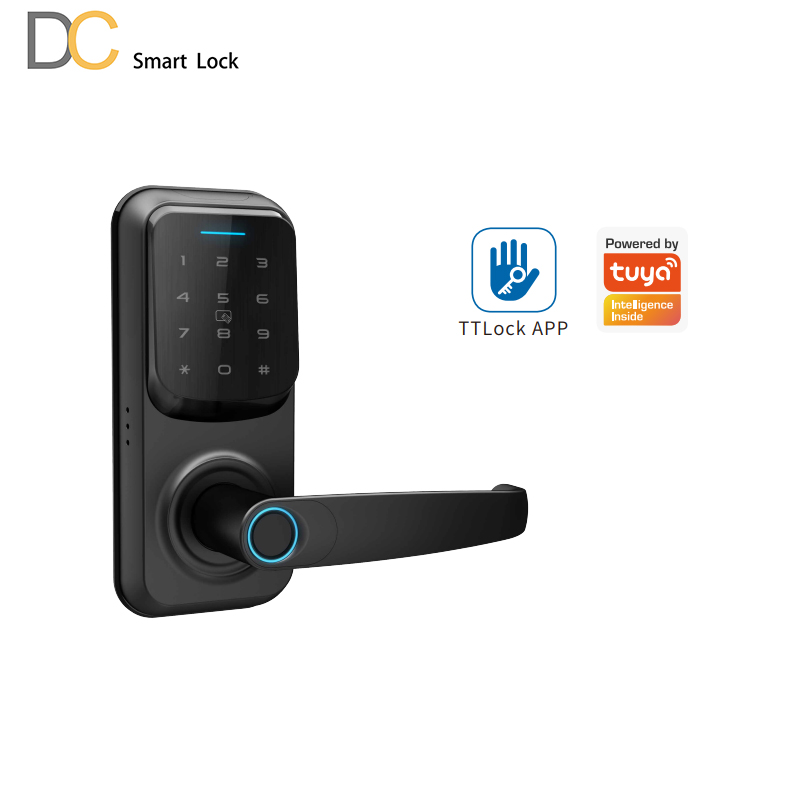 C90 Lever Handle Bluetooth Locks